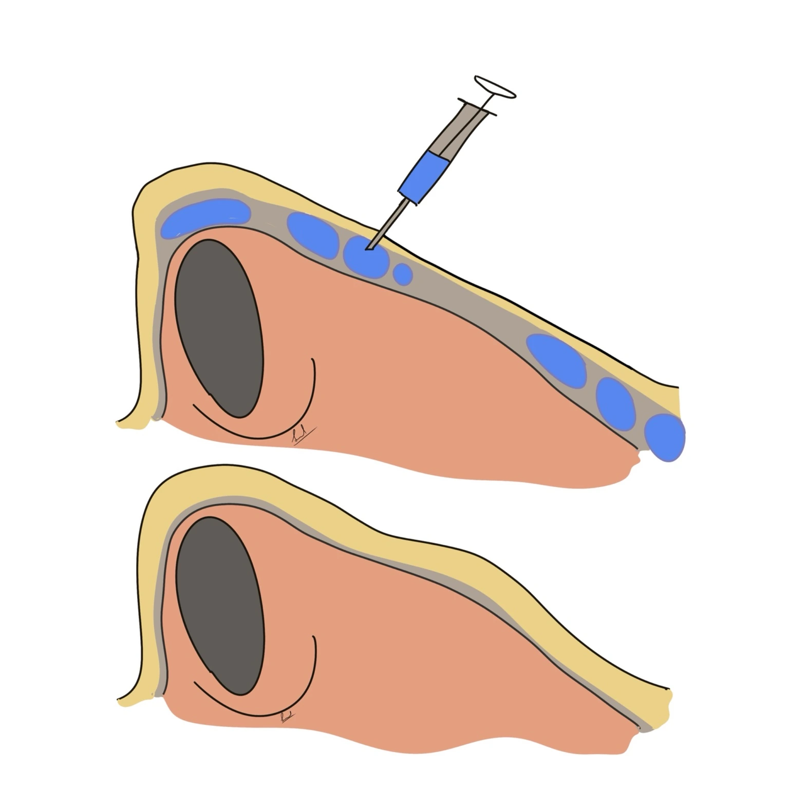 Anti-Ageing illustration